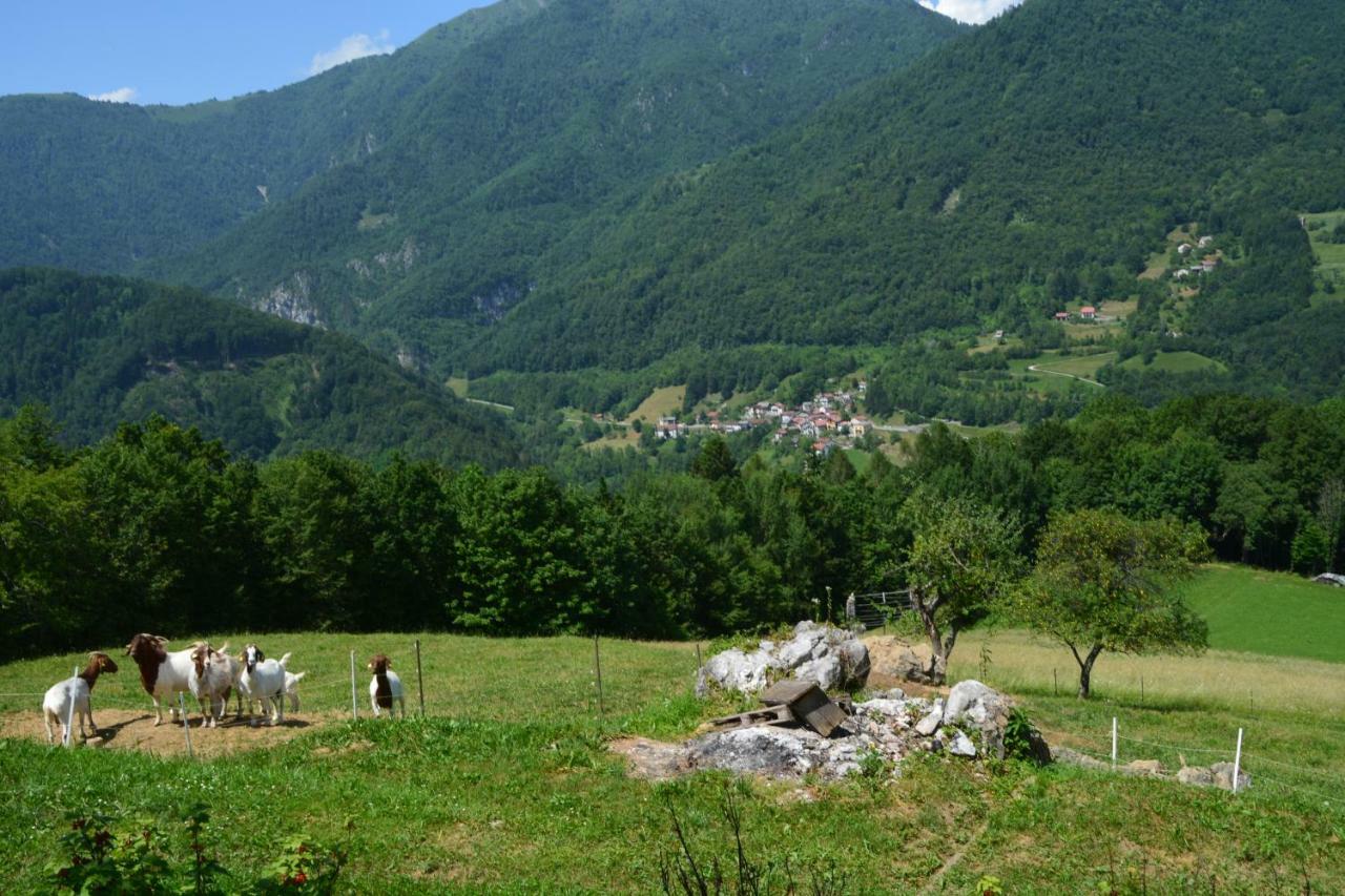 Apartma Zala Most Na Soci Exterior photo